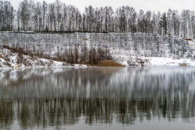 A mirror image of bare trees on a pond in the early frosty morning