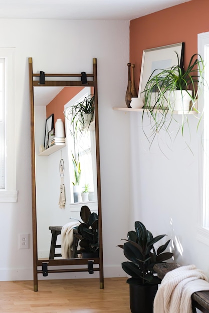 a mirror with a plant on it and a plant in it