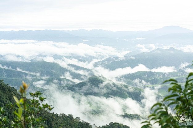 The mist on green mountain at the morning Early morning in Thailand mountains