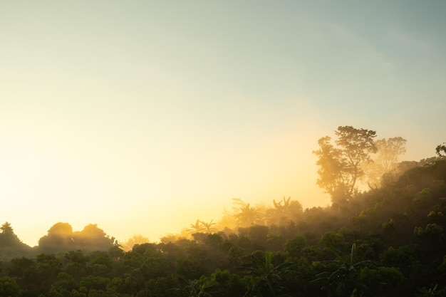 The mist that hit the sunlight in the morning has a beautiful orange color.