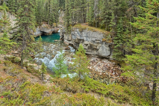 Mistaya Canyon Jasper National Park Alberta Canada