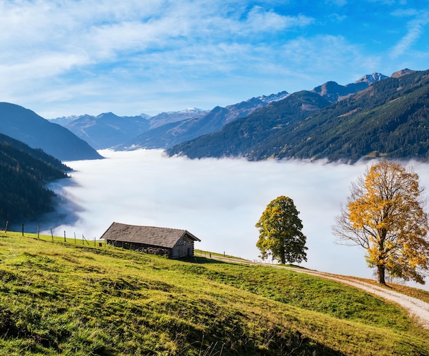 Misty autumn morning mountain and big lonely trees view from hiking path near Dorfgastein Land Salzburg Austria