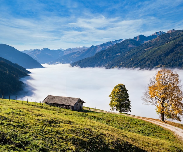 Misty autumn morning mountain and big lonely trees view from hiking path near Dorfgastein Land Salzburg Austria