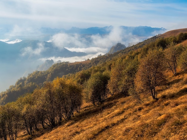 Misty autumn scenery with forest hills in sunlight Picturesque autumn mountains Low clouds fill the picturesque mountain valley