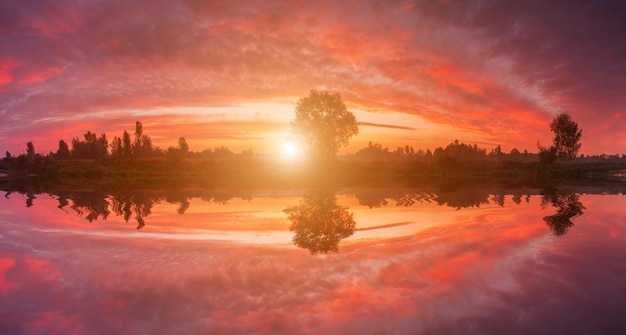 Misty dawn on the river bank with flowers