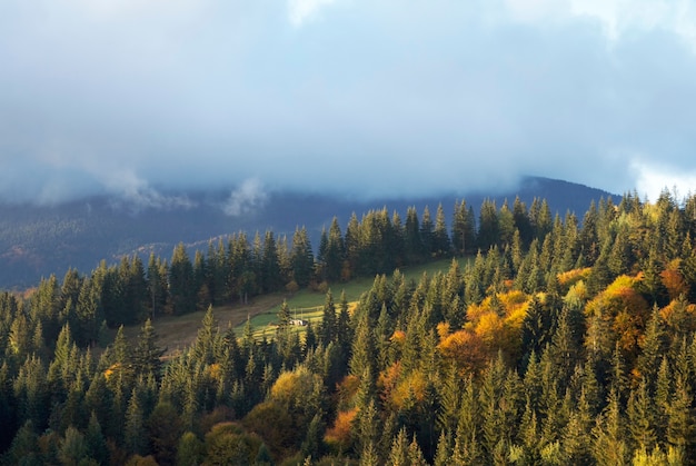 Misty early daybreak in autumn Carpathian mountain, Ukraine.