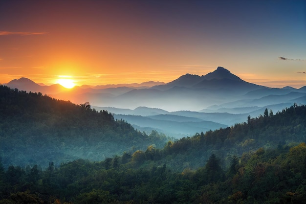 Misty forest in early morning in rays of rising sun