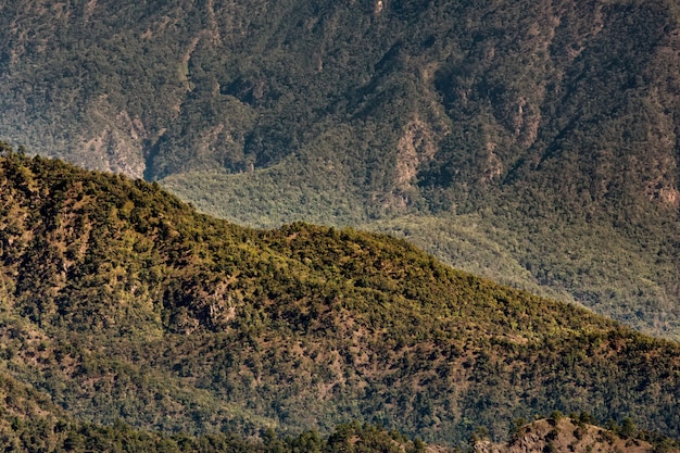 Misty morning in the Doi Ang Khang, Chiang Mai, Thailand