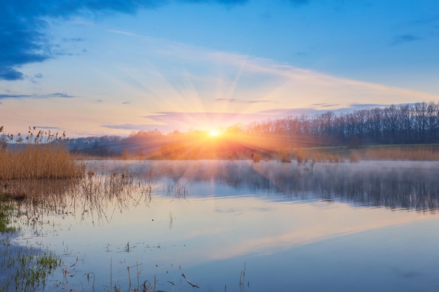 Misty morning at the lake