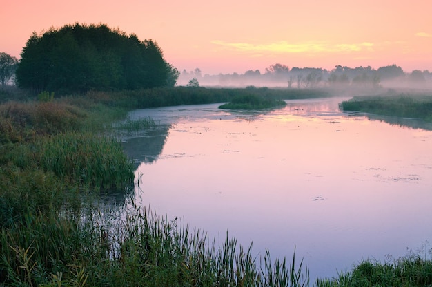 Misty morning mist over lake