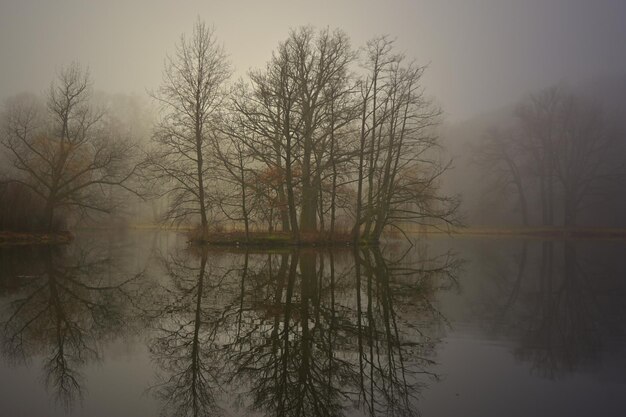 misty morning on the river