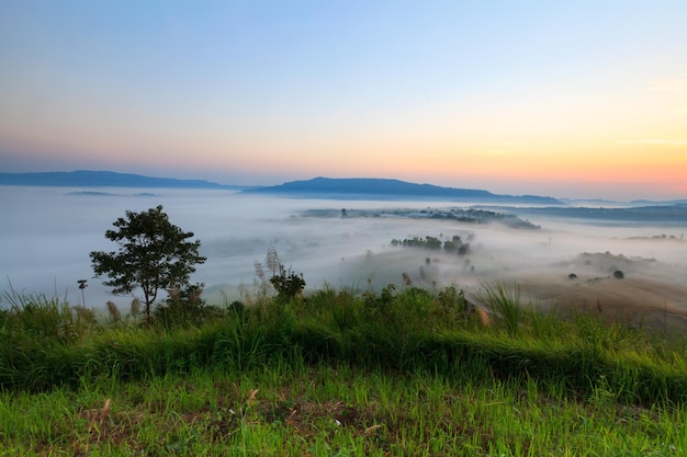 Misty morning sunrise in Khao Takhian Ngo View Point at Khaokho PhetchabunThailand