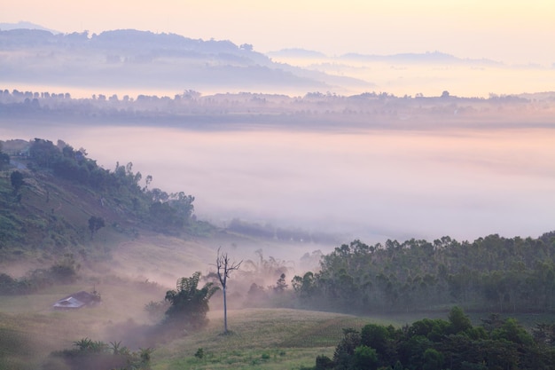 Misty morning sunrise in Khao Takhian Ngo View Point at Khaokho PhetchabunThailand