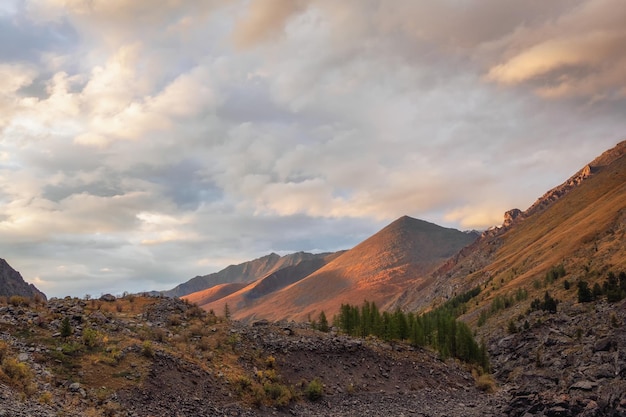 Misty mountain landscape with golden low clouds in valley among mountains silhouettes under cloudy sky on sunset Sunset or sunrise scenery with low clouds in mountain valley in illuminating color