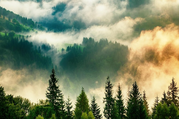 Misty mountain landscape