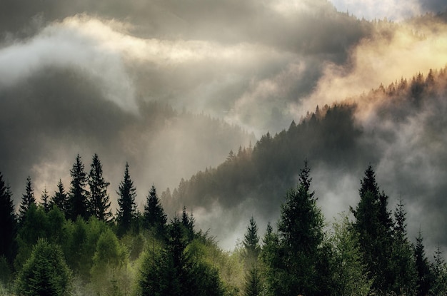 Misty mountain landscape