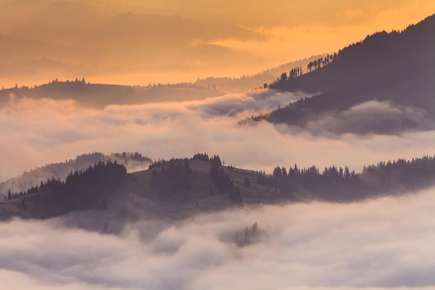 Misty valley in the mountains at dawn Beautiful landscape