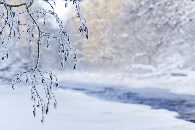 Misty winter landscape with low morning sun snow and partially ice on a narrow river