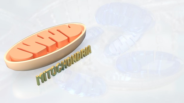 The Mitochondria for sci or health concept 3d renderingxA