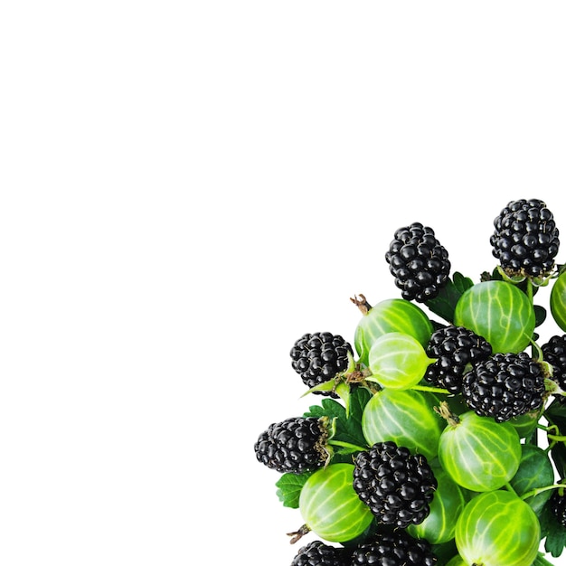 Mix of berries in corner composition isolated on white background