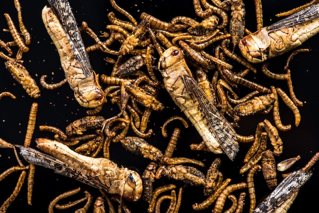 Photo mix of edible fried worms and insectsculinary trends