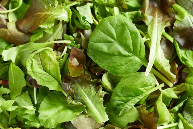 Mix of variety, healthy and fresh green salad