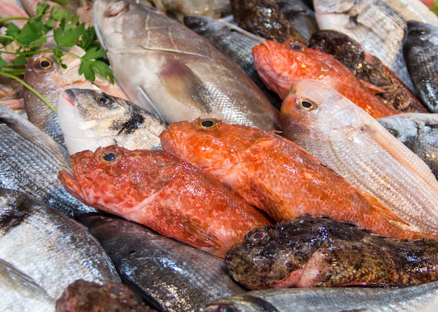 Mixed fish for sale on a local fish market close up