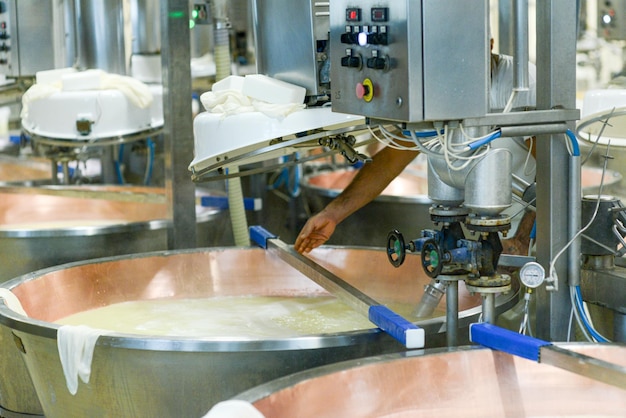 Mixing and heating organic milk making parmesan cheese in chessemaking facility