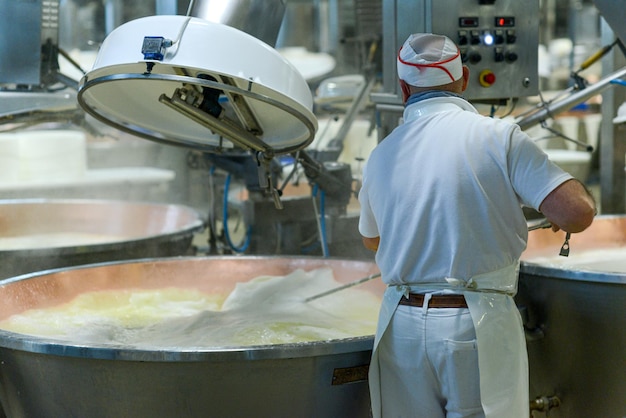 Mixing and heating organic milk making parmesan cheese in chessemaking facility