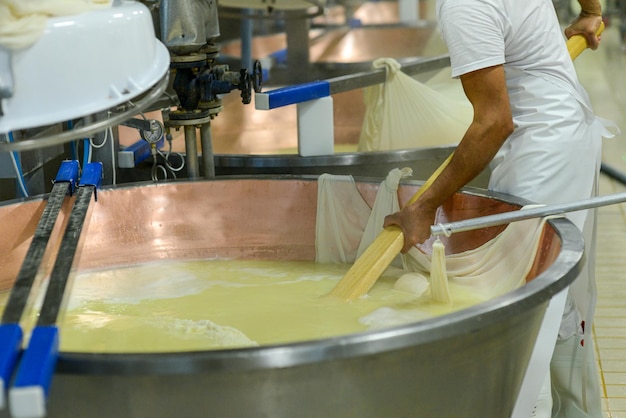 Mixing and heating organic milk making parmesan cheese in chessemaking facility