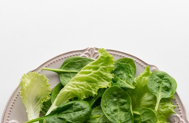 A mixture of spinach leaves and salana leaves on a plate. 