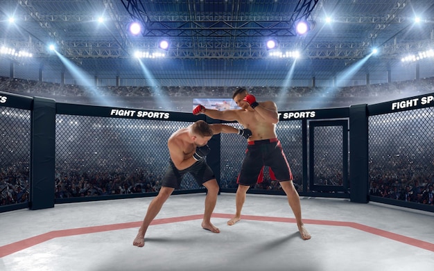 MMA fighters on professional ring Fighting Championship