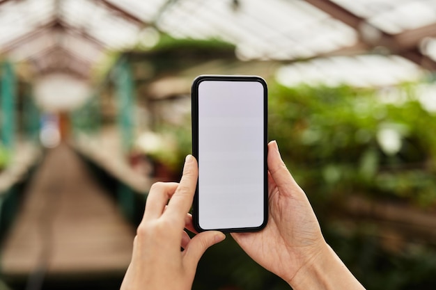 Mobile phone with blank screen held by young female gardener