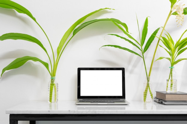 Mock up laptop with supplies and plant on marble desk table.