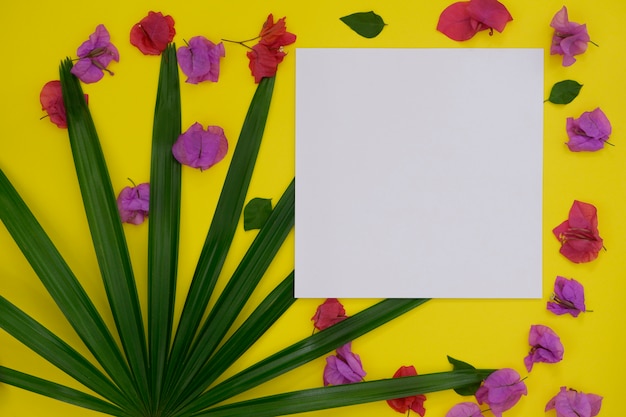 Mock-up white paper with space for text or picture on yellow background and tropical palm leaf and flower.