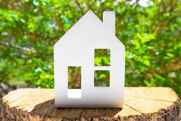 Mockup of a house on a wooden natural background with green plants