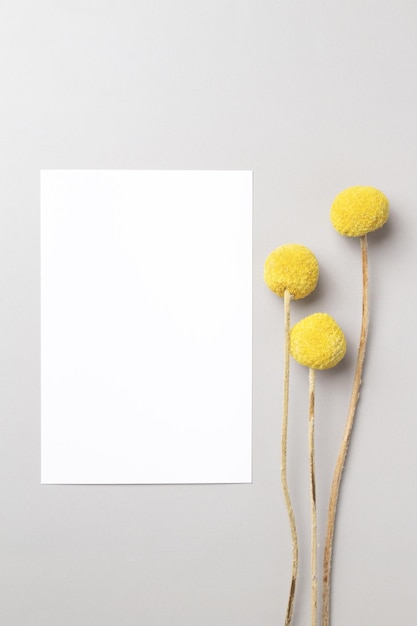 Mockup invitation blank greeting card and craspedia flowers Flat lay top view