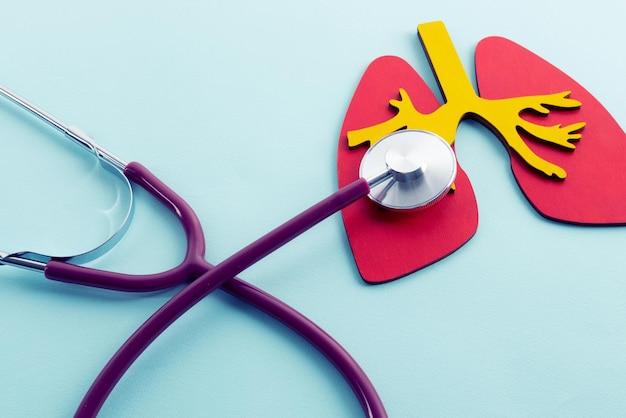 Mockup lungs and stethoscope lies on a blue background