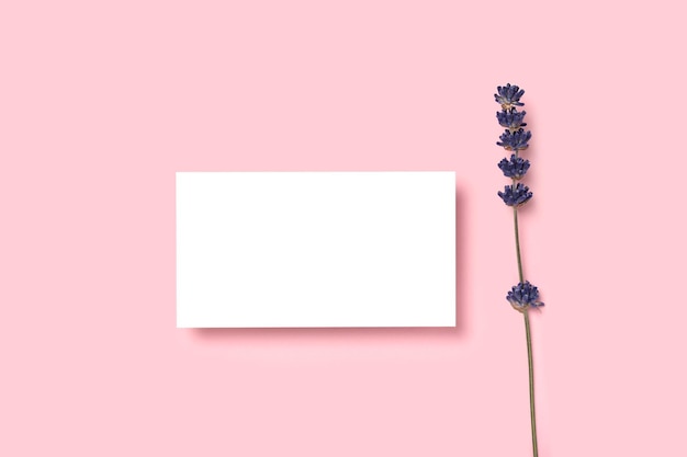 Mockup one cutaway business card on a pink minimalism background and lavender flowers