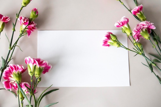 Mockup white blank card decorated with pink carnations on the edges space for your text