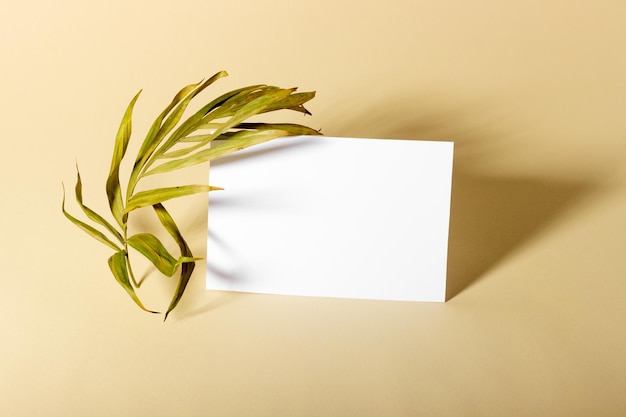 Mockup with blank horizontal paper cards with copy space next to log Hard sunlight and shadows on a beige background Minimal template for business layout Top view flat lay