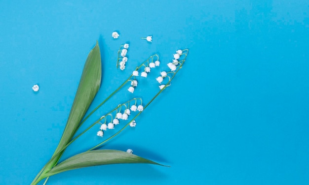 Mockup with lilies of the valley on a blue backgrounda greeting card tender