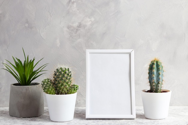 Mockup with white frame and succulent plants in pots Copy space for text Minimalistic design