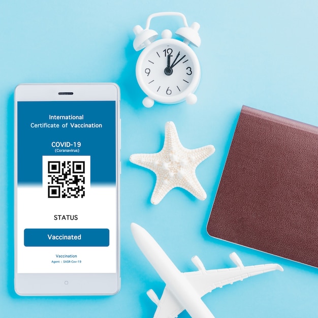 Model airplane passport and immunity pass are arranged application on smartphone