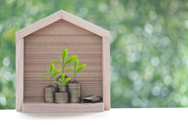 Model house with trees growing on stack of coins money with green background