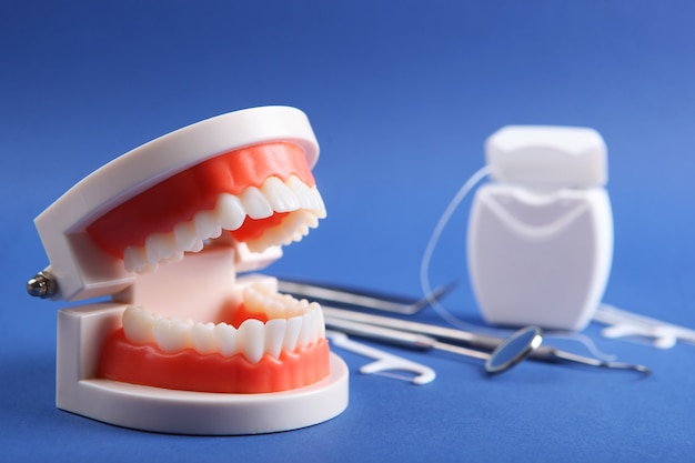 Model of teeth and dental instruments and dental care products