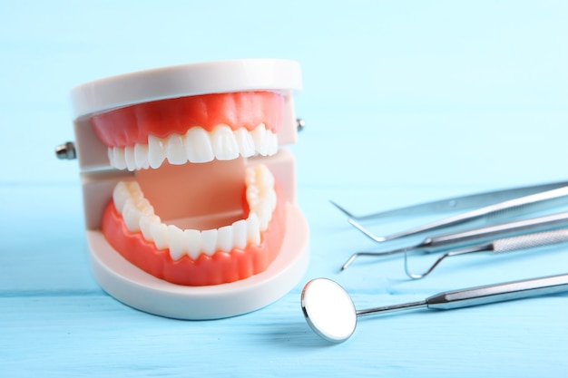 Model of teeth and dental instruments and dental care products