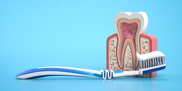 Model of tooth with arrow tooth brush and tooth paste on blue background Teeth protection concept