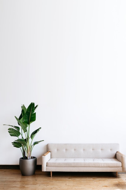 Modern beige fabric couch and plant in living room