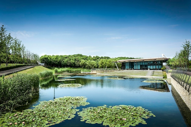 Modern buildings in city park